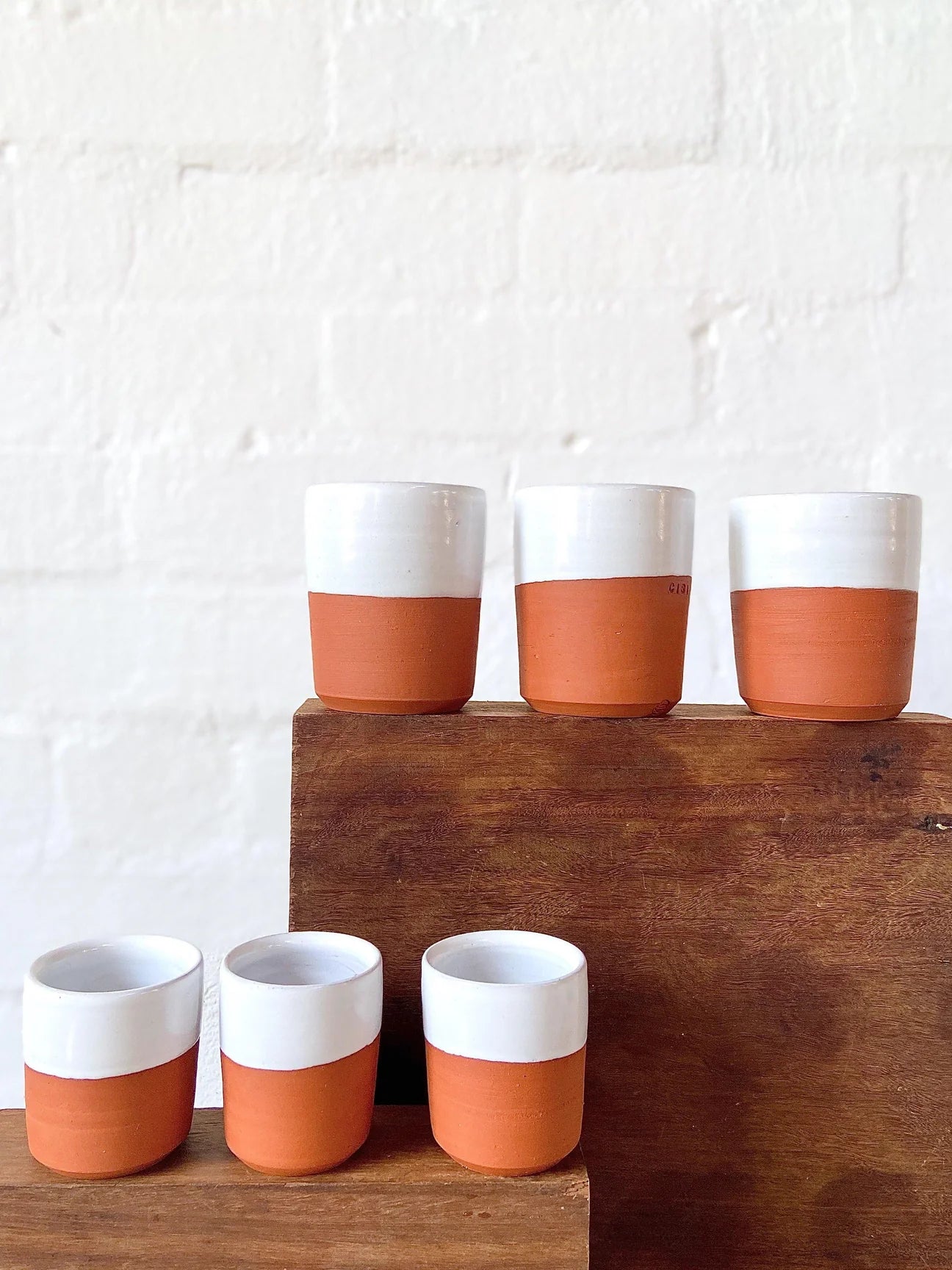 CIBI everyday Take away cup - CIBI TOKYO STORE