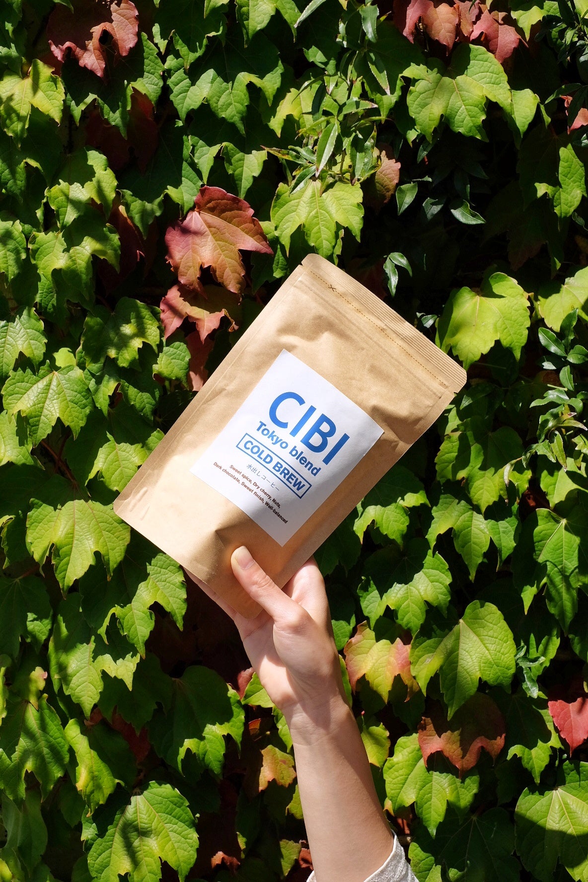 CIBI 水出しコーヒパック / Cold brew coffee - CIBI TOKYO STORE