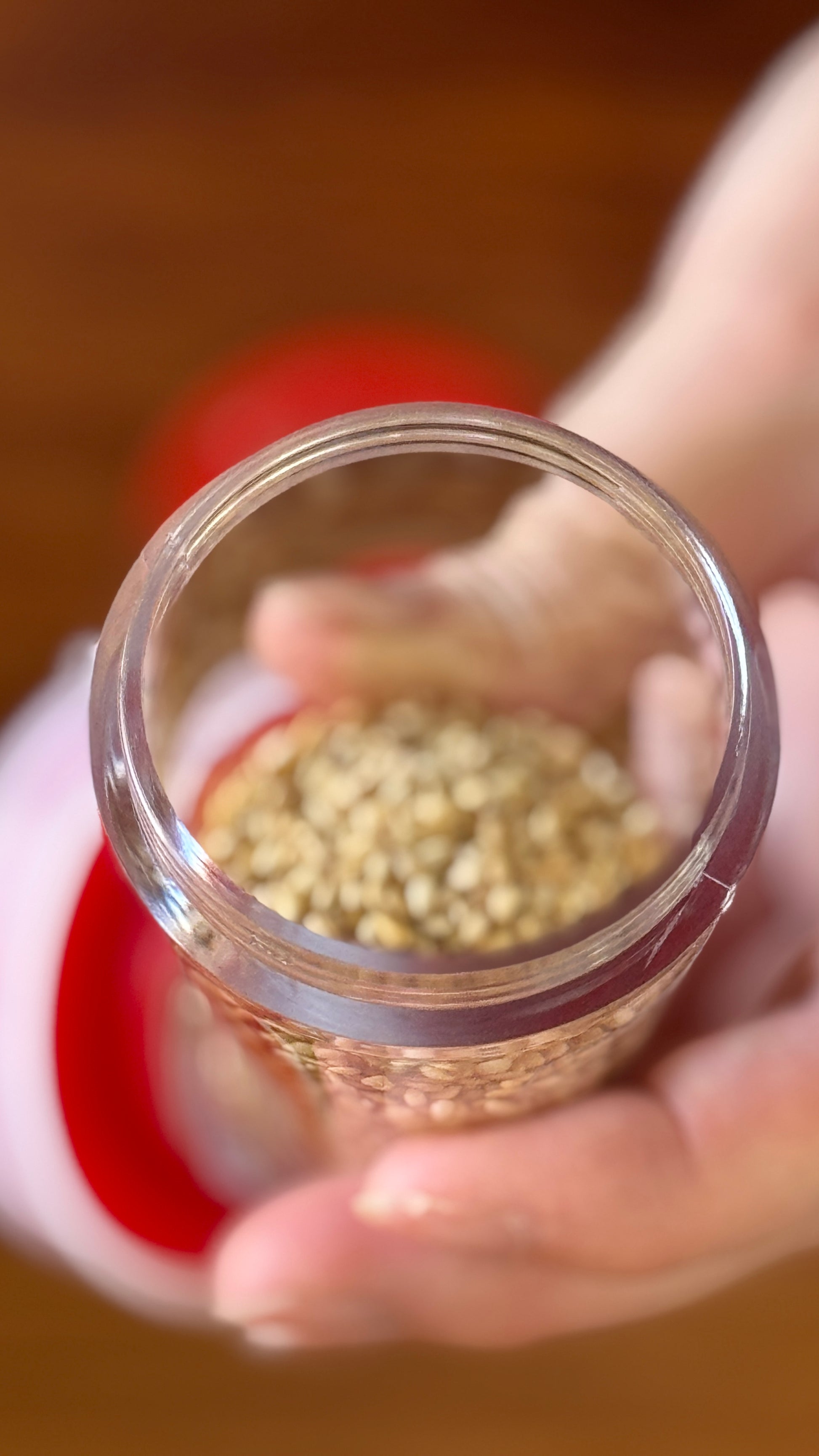 スリッキー / Slicky Sesame Seed Grinder - CIBI TOKYO STORE